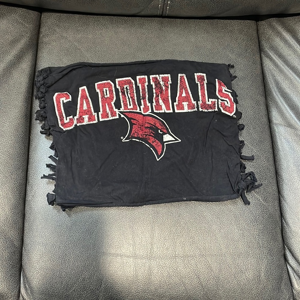 SVSU Tailgate Crop Top
